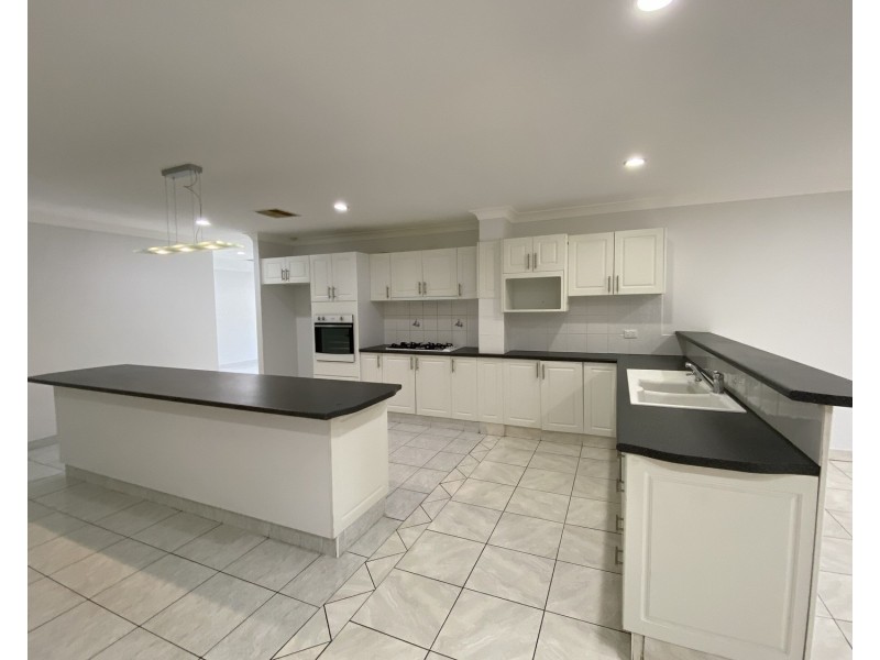 16 Ida Place, Cecil Hills NSW 2171