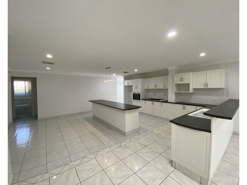 16 Ida Place, Cecil Hills NSW 2171