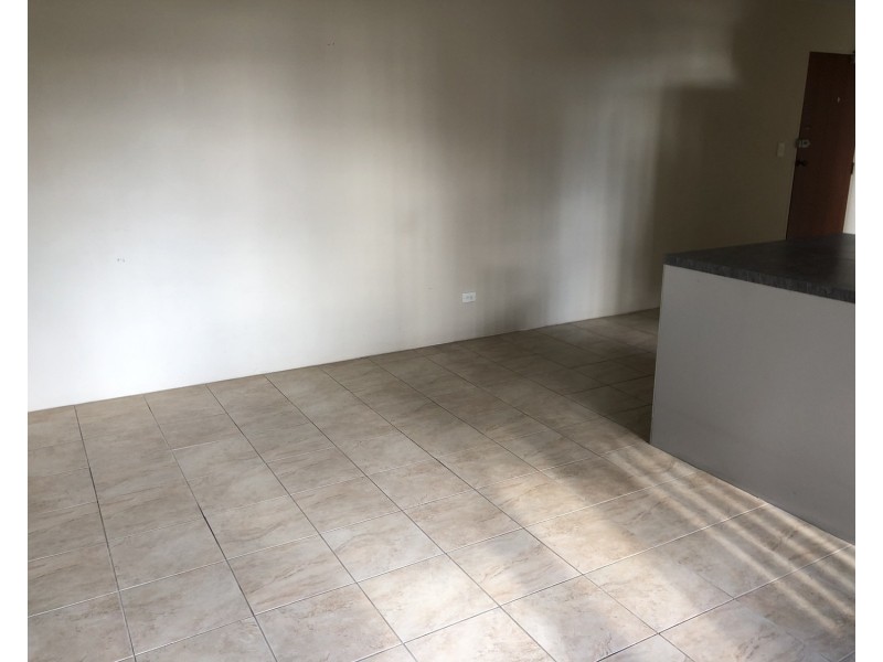 43/132 Lansdown Road, Canley Vale NSW 2166