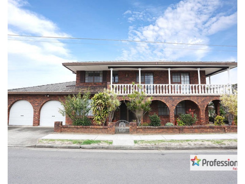 161A Canley Vale Road, Canley Heights NSW 2166