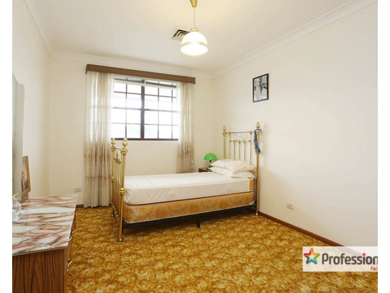 161A Canley Vale Road, Canley Heights NSW 2166