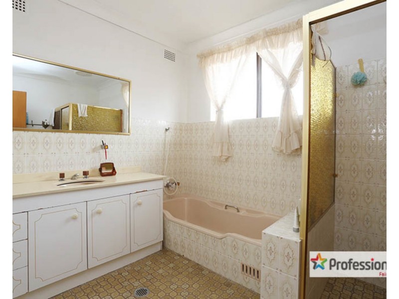 161A Canley Vale Road, Canley Heights NSW 2166