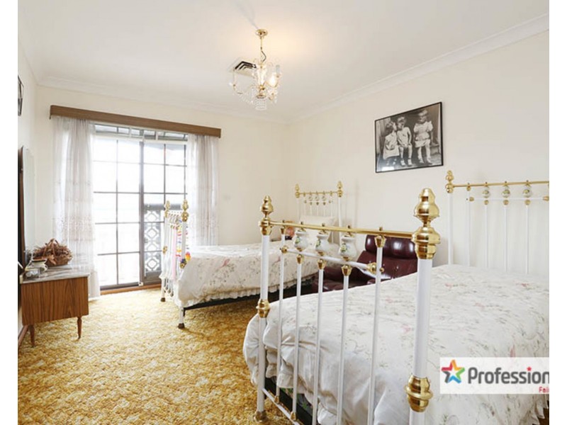 161A Canley Vale Road, Canley Heights NSW 2166