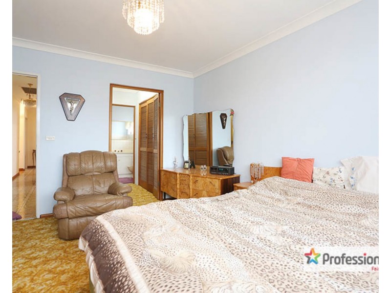 161A Canley Vale Road, Canley Heights NSW 2166