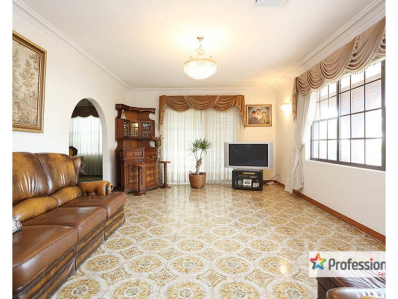 161A Canley Vale Road, Canley Heights NSW 2166