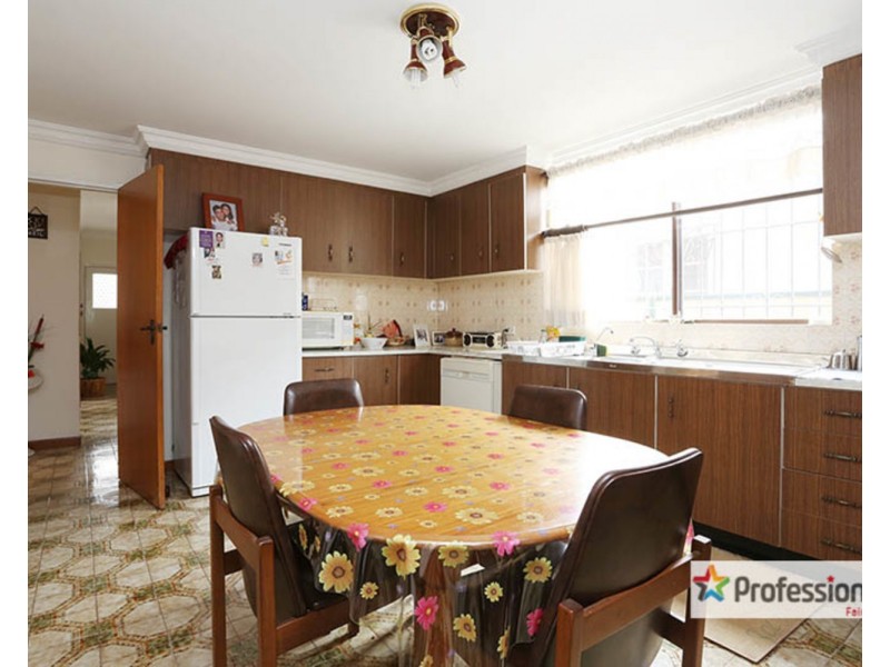 161A Canley Vale Road, Canley Heights NSW 2166