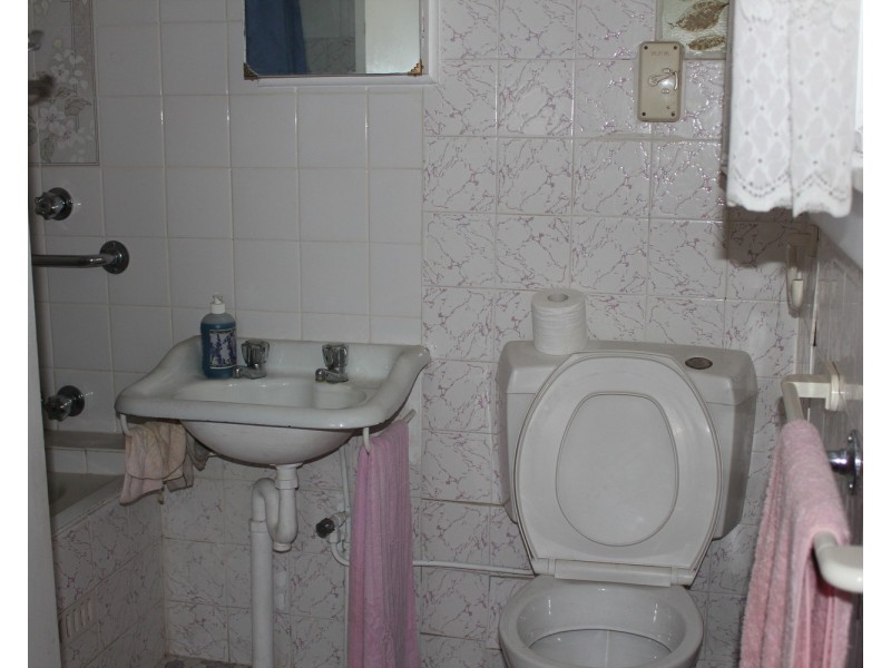 17 Strickland Street, Bass Hill NSW 2197