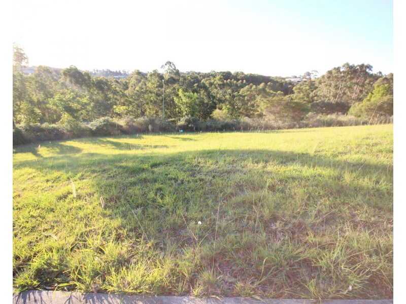 1 Bottle Brush Lane, Tallwoods Village NSW 2430