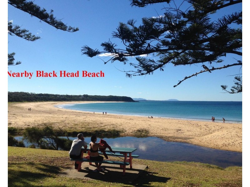 11 The Knoll, Tallwoods Village NSW 2430