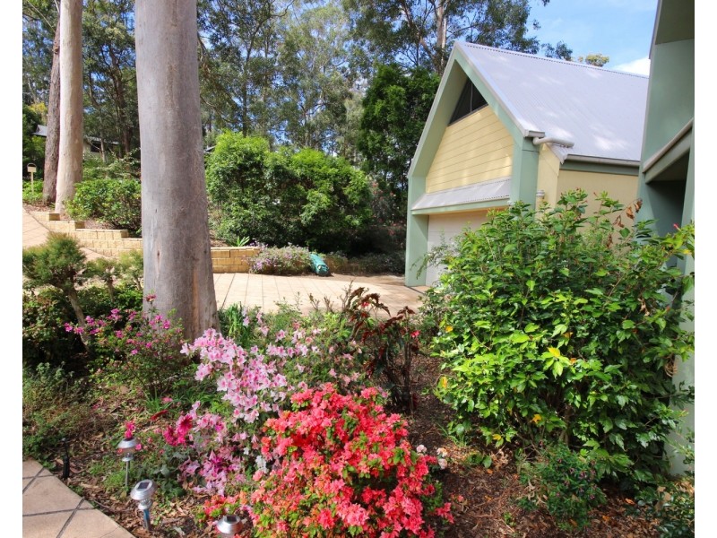 20 Hilltop Parkway, Tallwoods Village NSW 2430