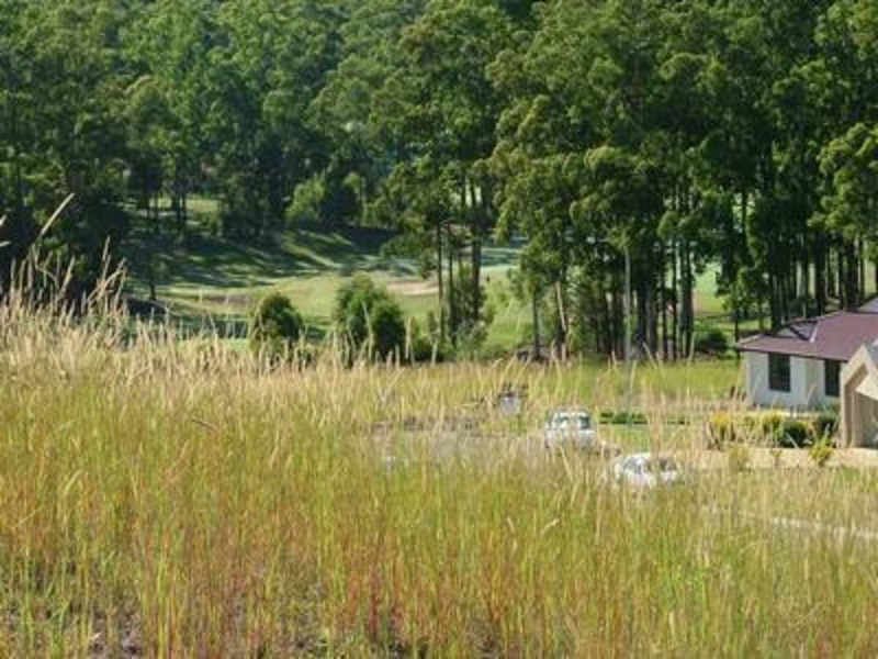 838 The Pulpit, Tallwoods Village NSW 2430