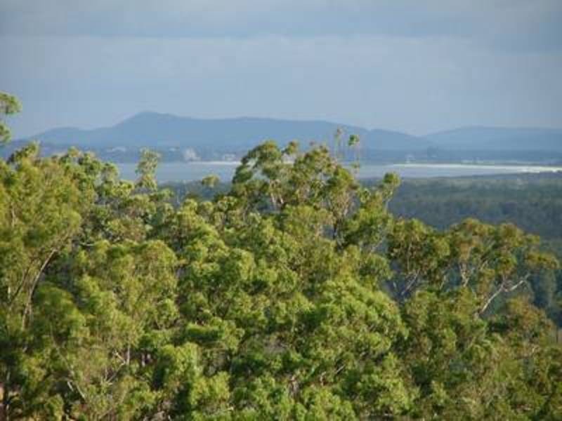 6 Hurdzans Reach, Tallwoods Village NSW 2430
