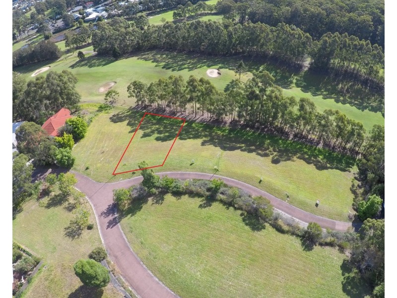 3 Golden Wattle Way, Tallwoods Village NSW 2430