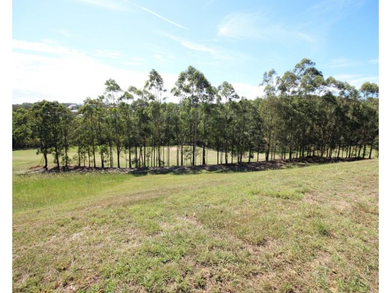 3 Golden Wattle Way, Tallwoods Village NSW 2430