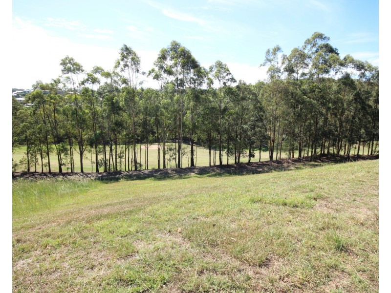 3 Golden Wattle Way, Tallwoods Village NSW 2430