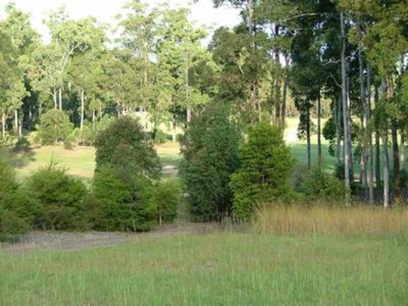 818 Illusions Court, Tallwoods Village NSW 2430