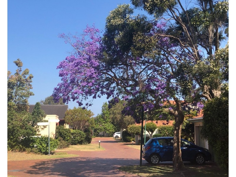 6/2 Breese Parade, Forster NSW 2428