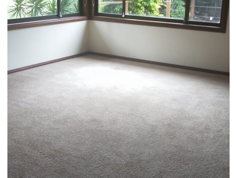 55 Surfview Street, Forster NSW 2428