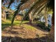 39 Green Point Drive, Green Point NSW 2428