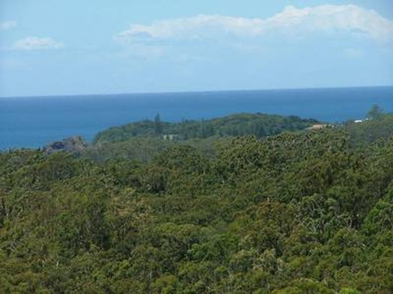 29 Eastern Valley Way, Tallwoods Village NSW 2430