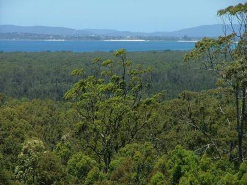 29 Eastern Valley Way, Tallwoods Village NSW 2430