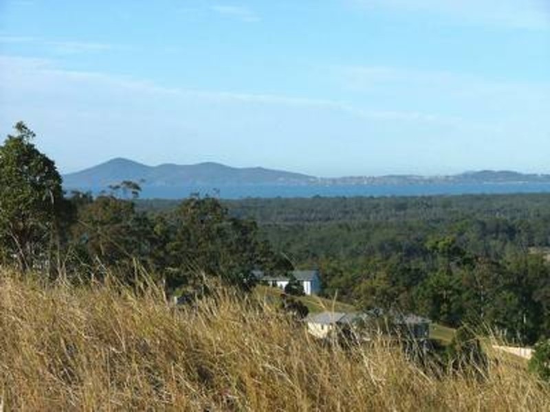 2622 (Lot 521) Tallwoods Drive, Tallwoods Village NSW 2430