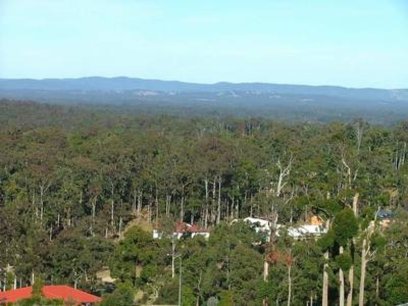 2622 (Lot 521) Tallwoods Drive, Tallwoods Village NSW 2430