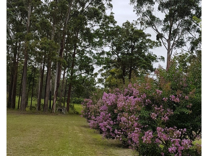 Hallidays Point NSW 2430