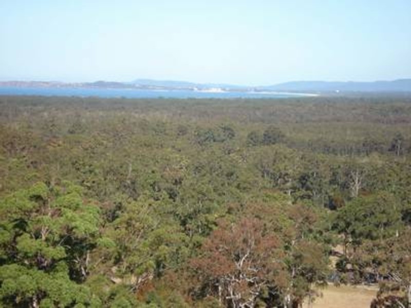 904 Azalea Close, Tallwoods Village NSW 2430