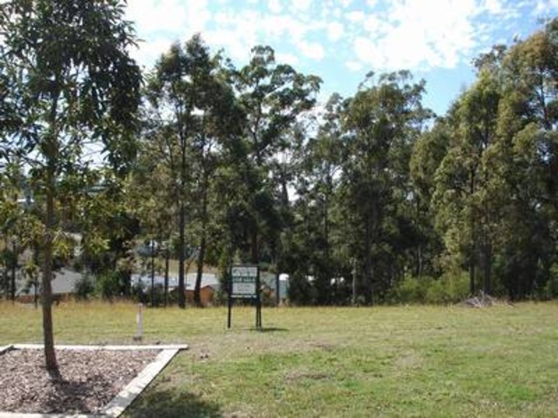 53 The Pulpit, Tallwoods Village NSW 2430