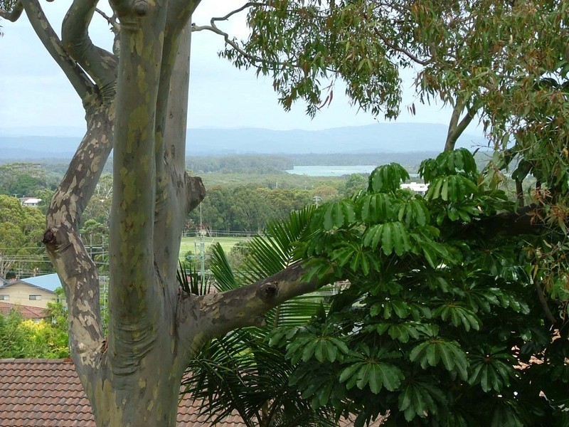 Forster NSW 2428