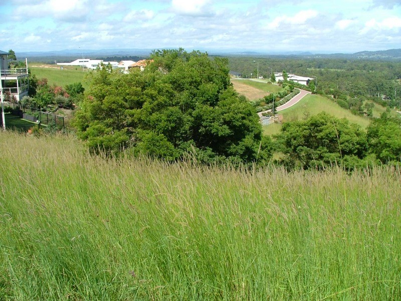 Tallwoods Village NSW 2430