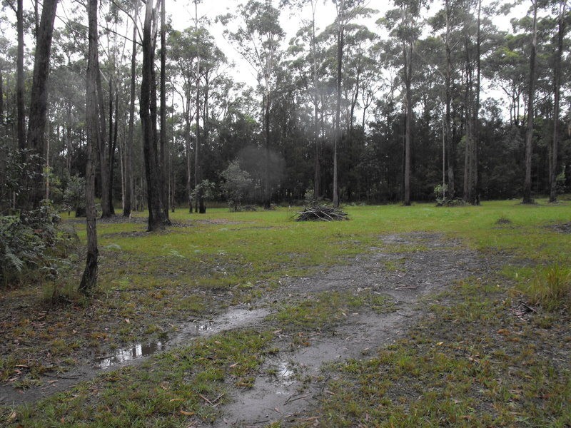 Hallidays Point NSW 2430