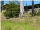 6 Anglers Avenue, Forster NSW 2428