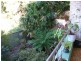Tuncurry NSW 2428