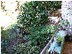 Tuncurry NSW 2428