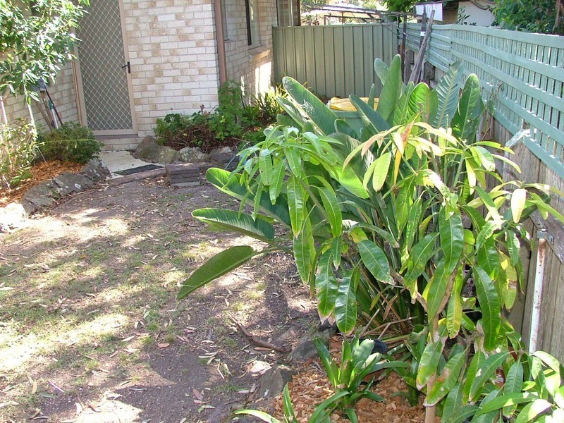 Tuncurry NSW 2428