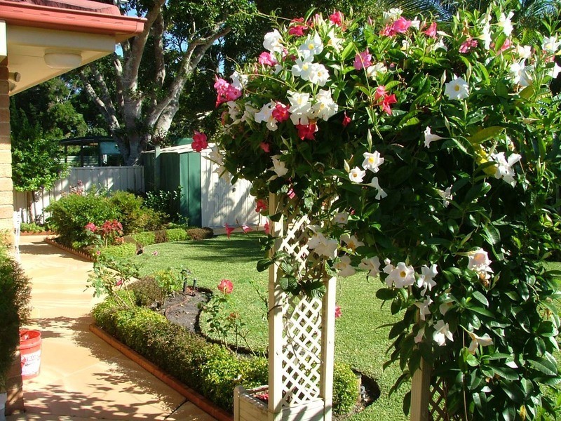 Forster NSW 2428