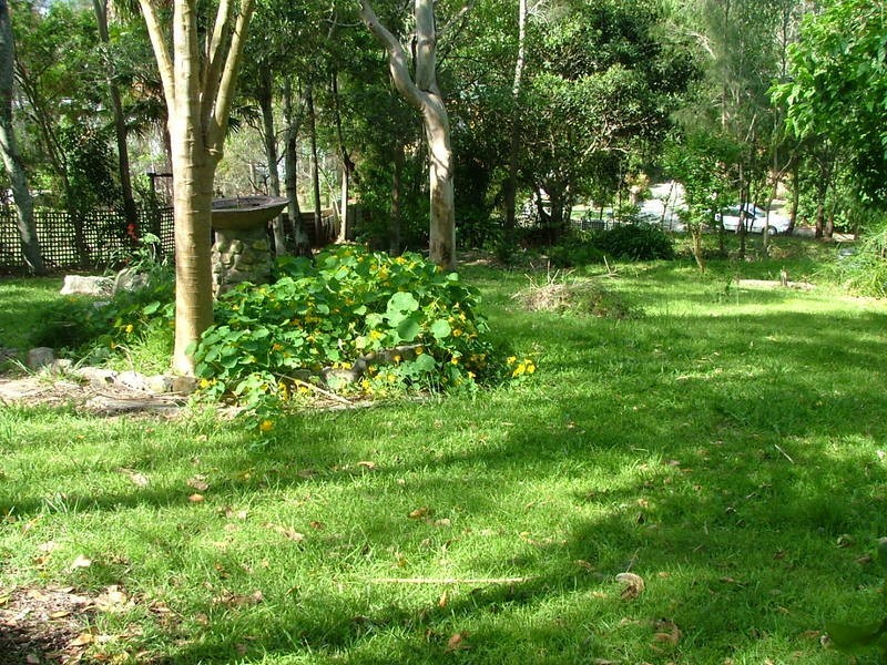 Green Point NSW 2428