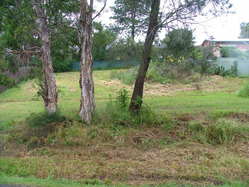 59 Seabreeze Parade, Green Point NSW 2428