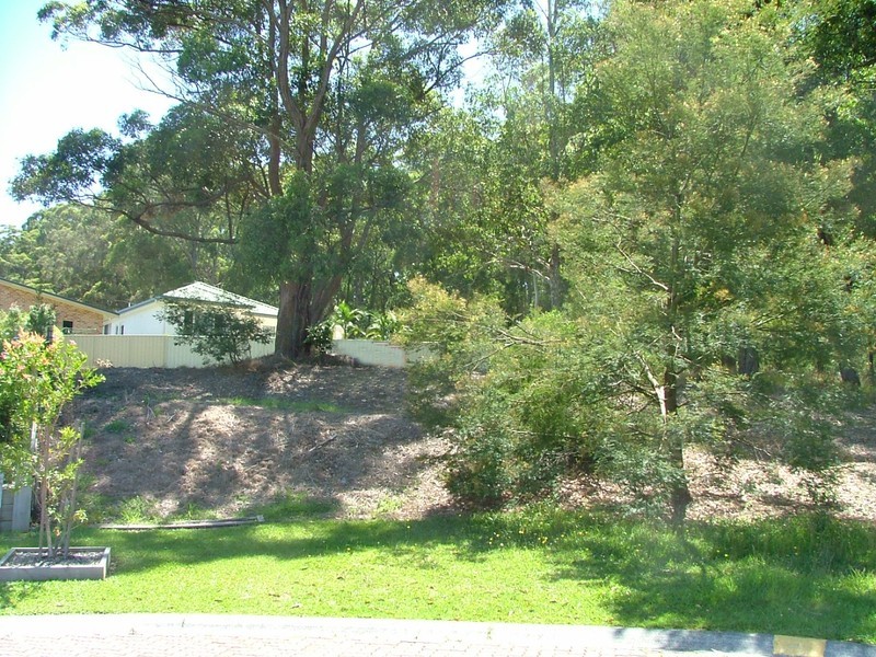 9 Caryota Place, Forster NSW 2428