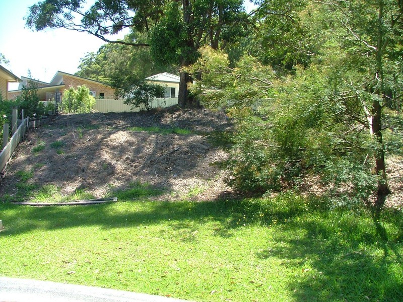 9 Caryota Place, Forster NSW 2428