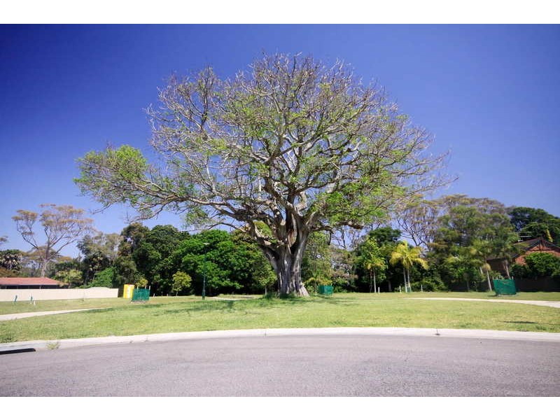 Lot / 19 & 20 Figtree Court, Forster NSW 2428
