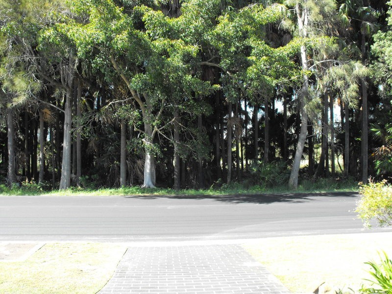 Tuncurry NSW 2428