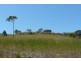 7 The Ridge, Hallidays Point NSW 2430