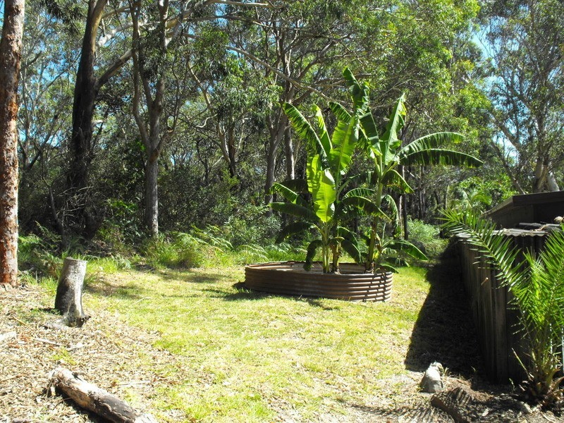 135 Green Point Drive, Forster NSW 2428