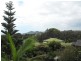 Forster NSW 2428