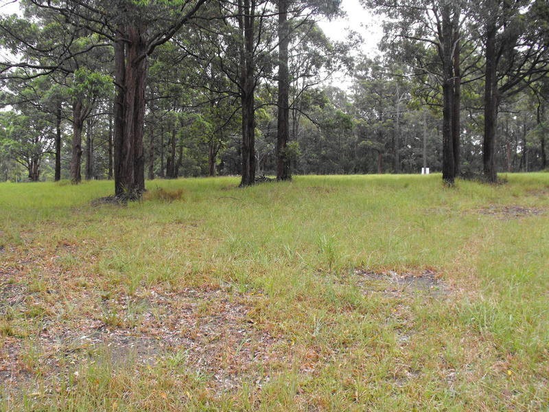 Hallidays Point NSW 2430