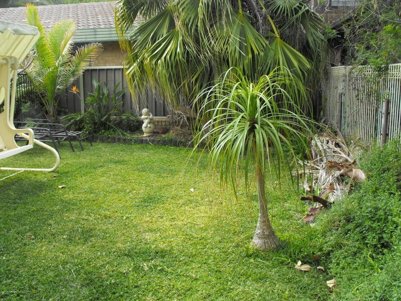 16 Underwood Road, Forster NSW 2428