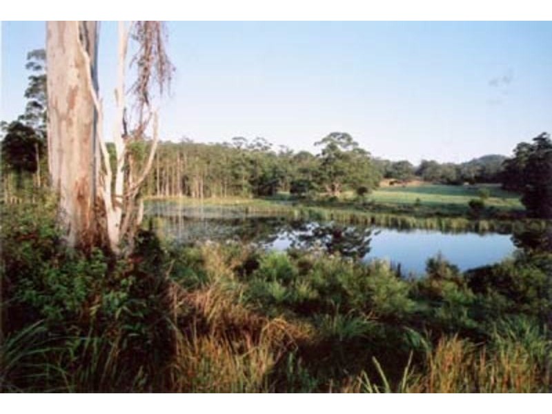 150 Coates Road, Failford NSW 2430